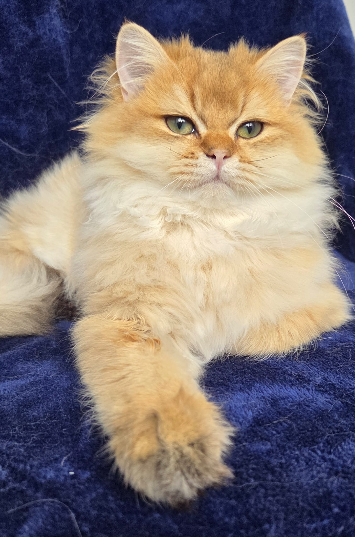 GeoMad Univers Barny